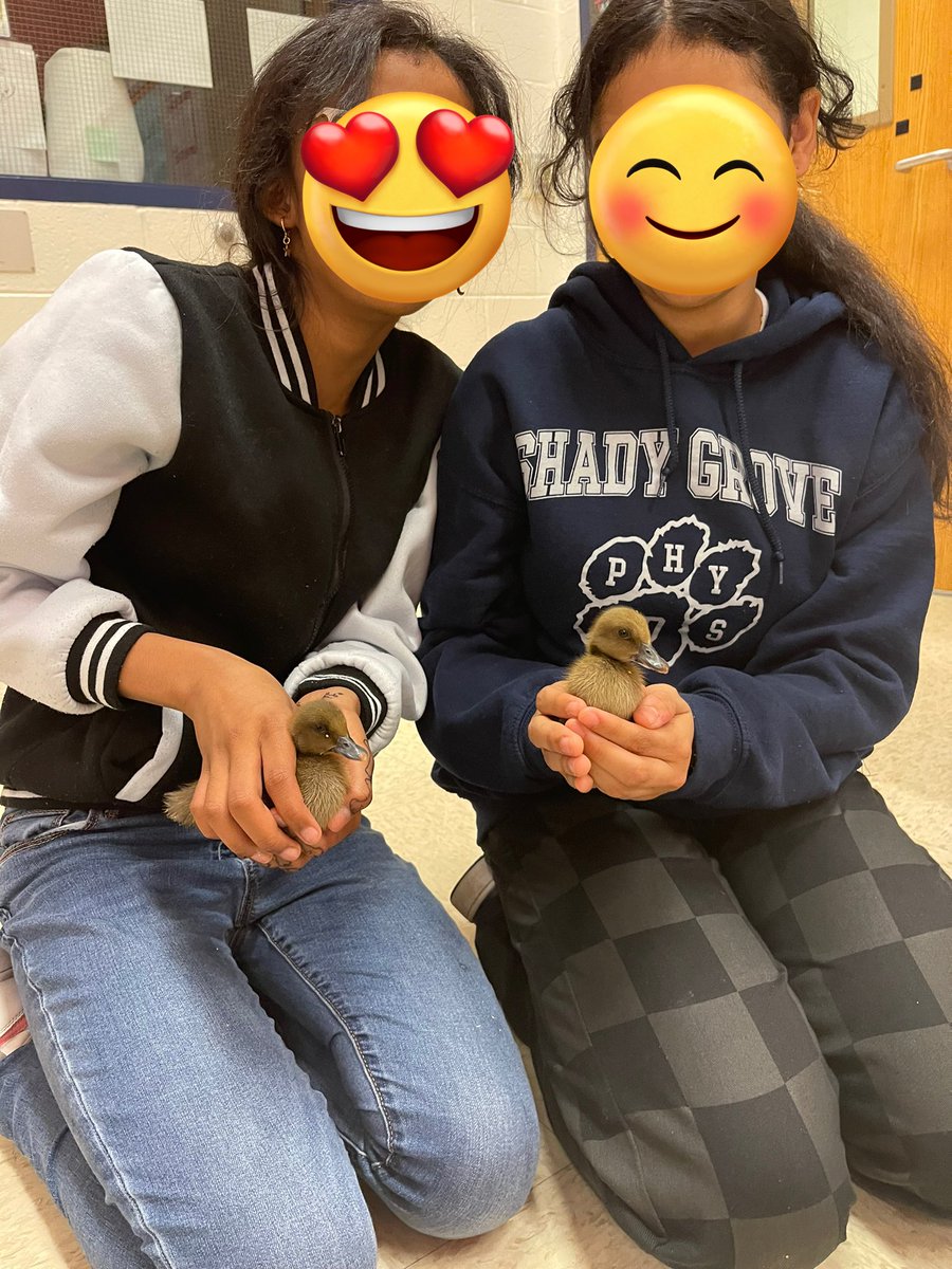 The school mascot may have changed for a few hours today to the SGMS Ducklings.  Students and Staff enjoyed snuggles and love from Chase and Brownie for Mental Health Awareness Month! 🦆💙🦆