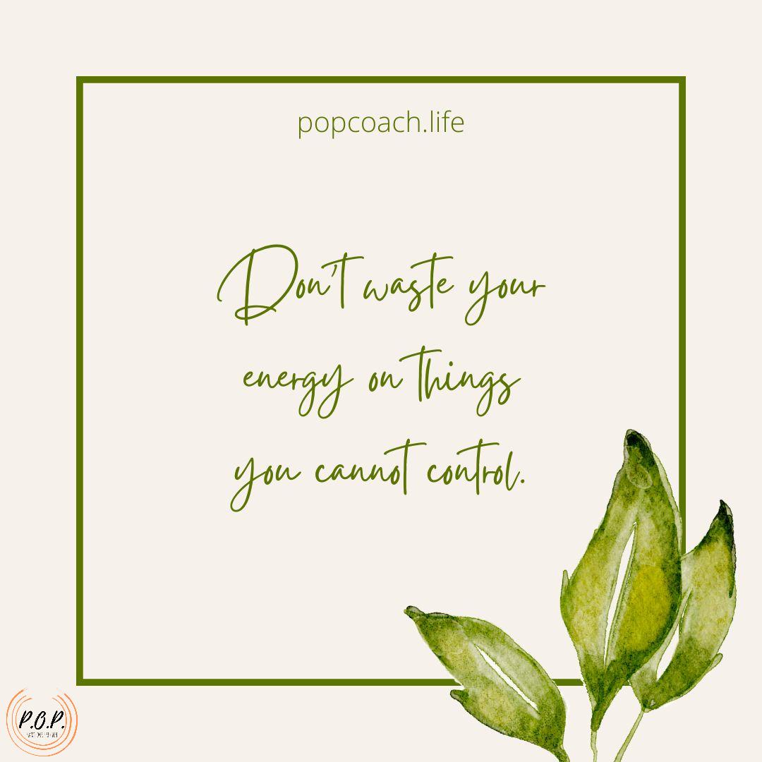 It's like trying to drive a car from the passenger seat.  It's futile and exhausting and will distract and defeat you.  Don't give your power away. #purposeoverperfection
#POPcoachlife
#livefromyourworth
#abideinthevine
#thrive
#mentalhealth  #selfcare #anxiety #love  #depress...