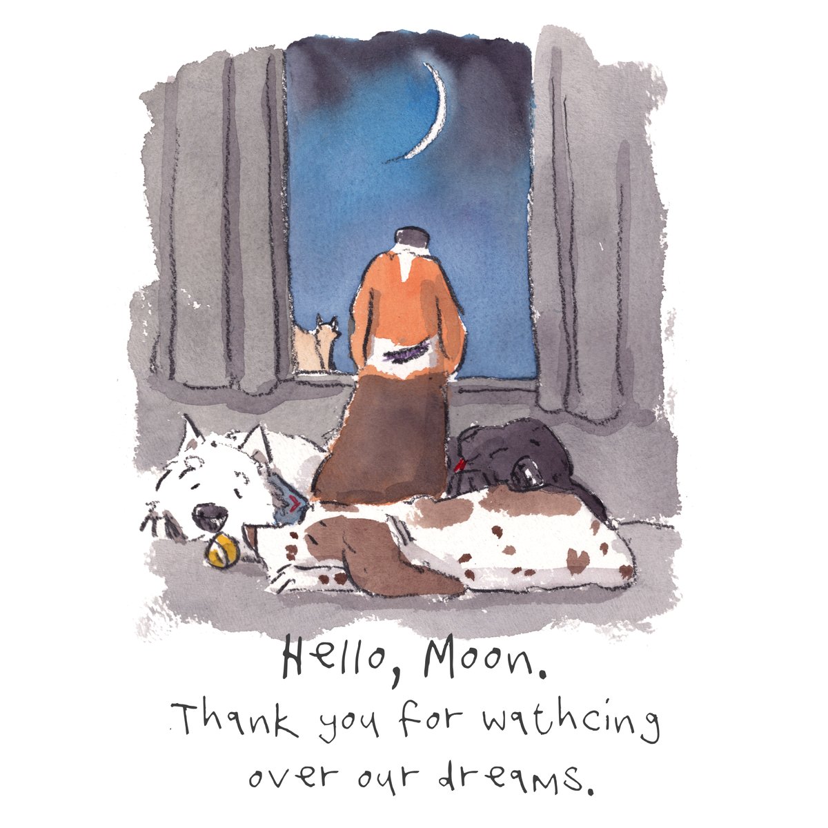 Good night, lovely people and lovely dogs. Hooray for a bit of watching the moon. Sleep well and sweet dreams. I hope that you have a really wonderful day tomorrow. #hoorayfordogs #westie #springer #beagle #labrador #redsquirrel