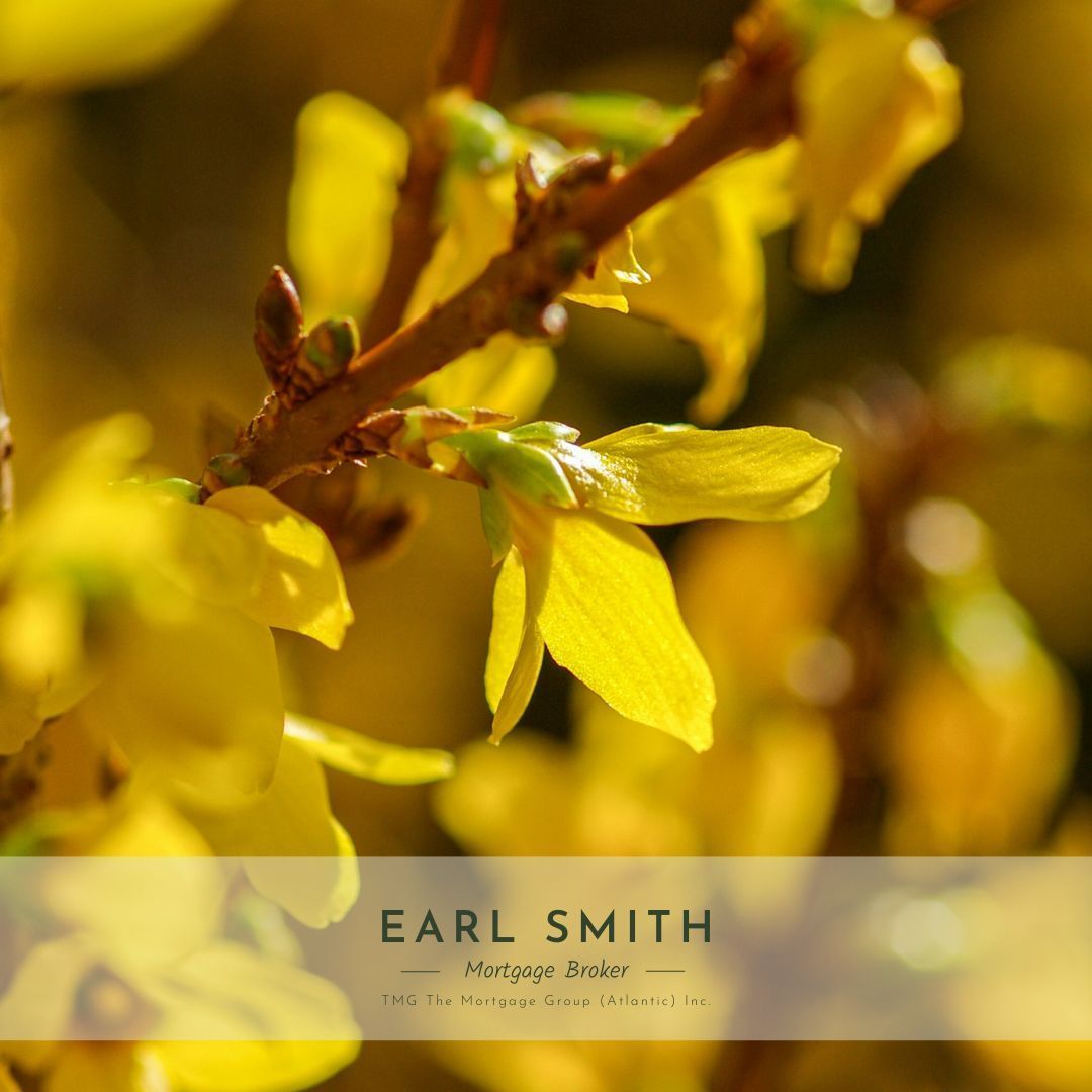 Spring is arriving like a gift! Full of fresh starts and new beginnings and warmer days! 
Did you know gifting a down payment to a family member is becoming more normal in Canada? However there are things that you need to know.
More information? Reach out today and let's talk.