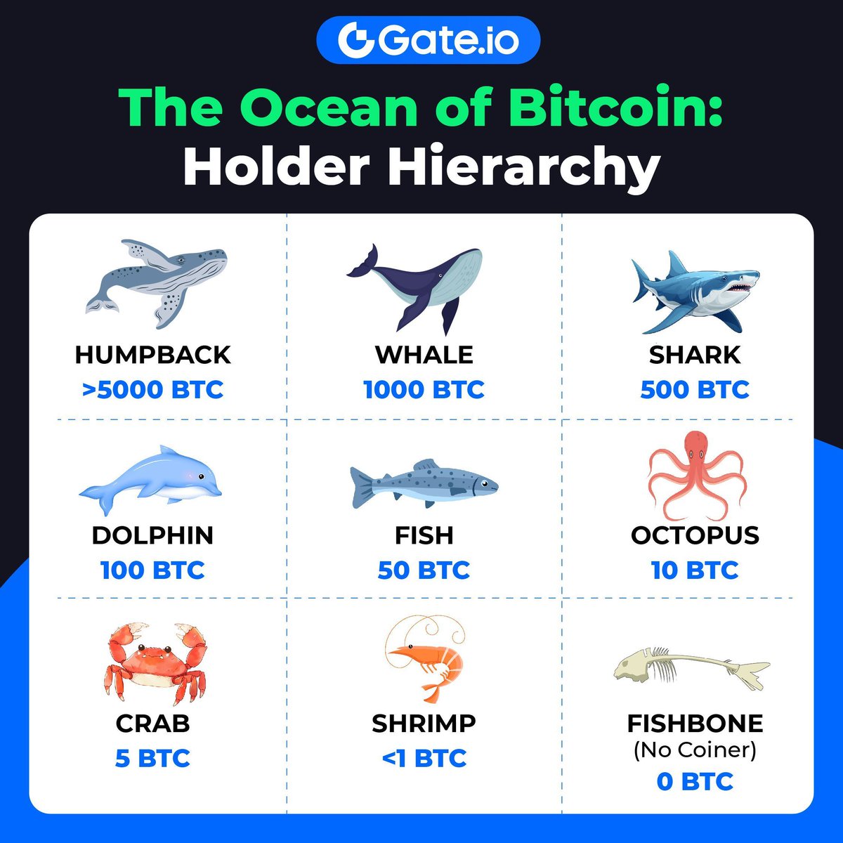 🐳 Are you that legendary humpback whale out there? 

Tag your No-Coiner friend and let them check this👉  gate.io/trade/BTC_USDT

#Gateio #BitcoinWhales #BTC