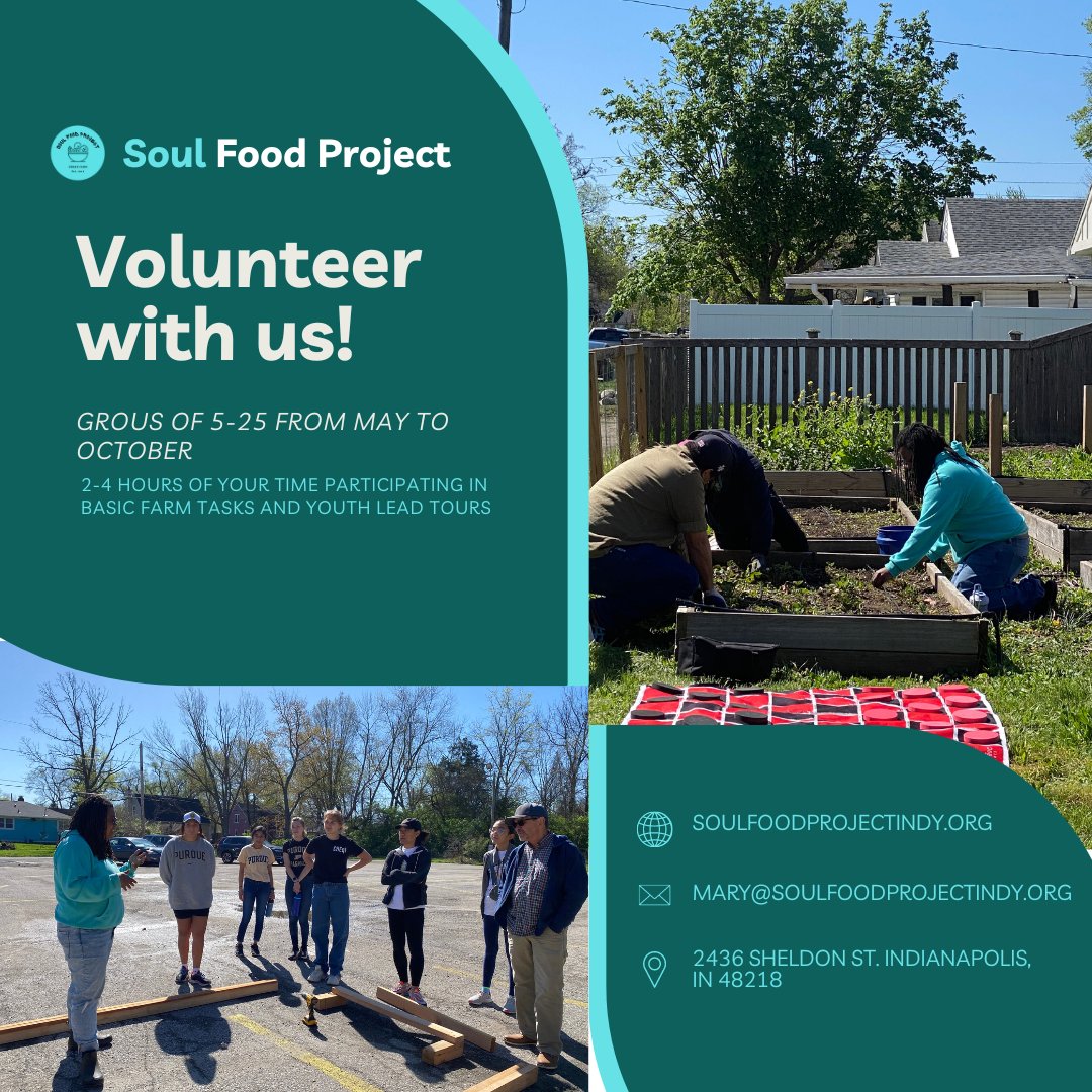 Volunteer with us!

We are looking for groups to engage with on Saturdays May through October!

Contact mary@soulfoodprojectindy.org for more information.  

 #SaturdayService #CommunityOutreach #StudentServiceHours #CommunityEngagement #VolunteerOpportunity #ServiceProjects