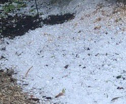 Thanks to my friend Amanda for sharing her view of the hail in Palos Heights #storm #hail #Chicago area