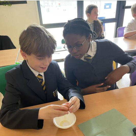 During our science lesson today we learned about the different stages of a bird’s life cycle. We also labelled the different parts of an egg. We cracked some eggs into a bowl and examined its different parts.