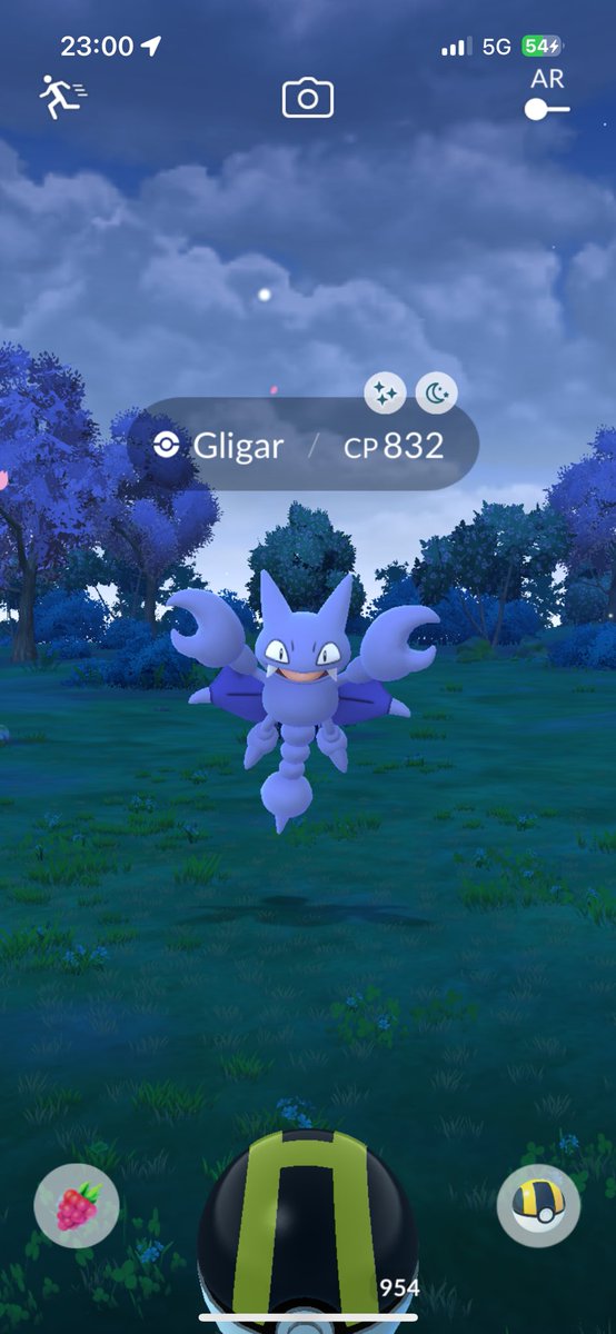 Late night home spawn shiny! ✨ 

#PokemonGO #PokemonGOfriends