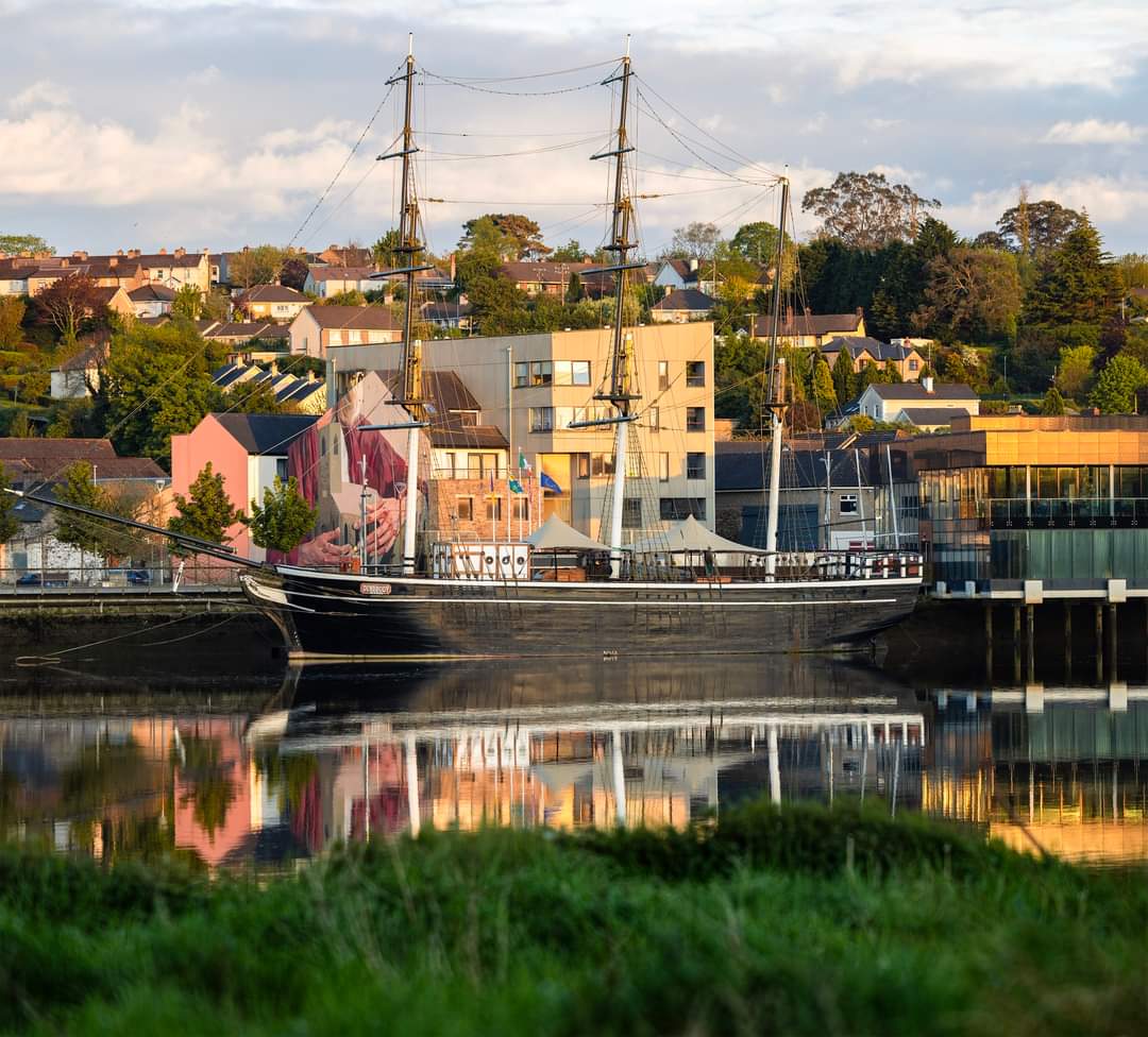 Basking in the evening sun ☀️
