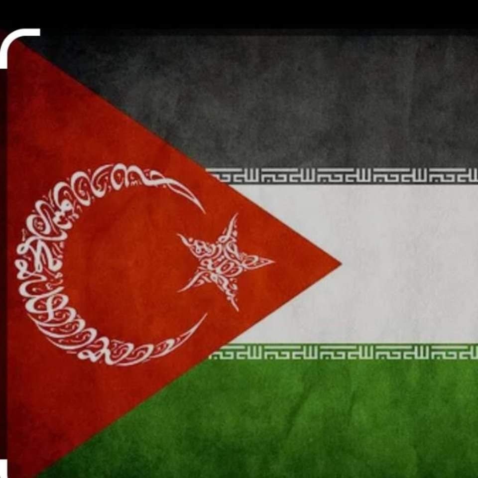 @Yalniz_Kurt5050 Çocukların ölmediği huzur ve refah dolu yarınlar için... #getoutofrafah 
Gazze'nin sesi ol!