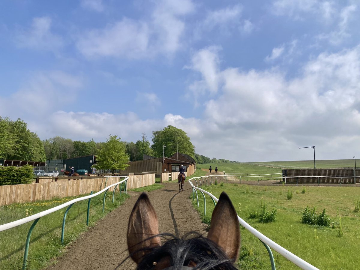 It’s been another warm & very pleasant day in Newmarket. It clouded over for a couple of hours midmorning after a lovely start, but then the sun reappeared and it settled into being another idyllic spring day #Duchess #Merrijig