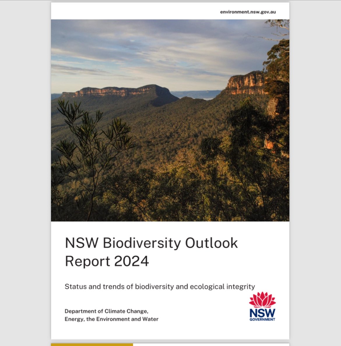 NSW Biodiversity Outlook Report today shows it’s really bad, even worse than the last report in 2020. Habitat Destruction, Land Clearing & Logging the main cause. The Coalition accelerated destruction but NSW Labor has been in power for over 12 months and done NOTHING! #nswpol