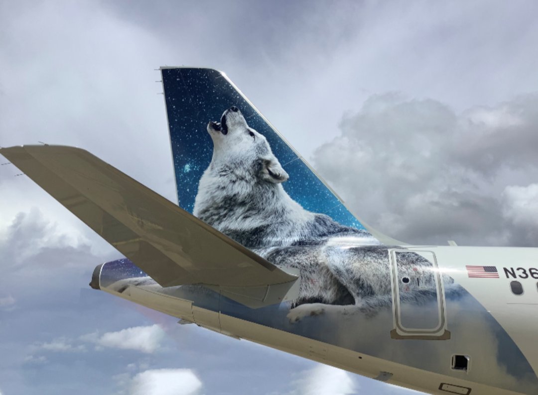 Shoutout Frontier airlines tail livery