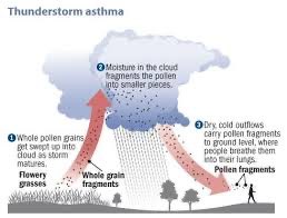Inpatient Respiratory Nursing Team tweet media