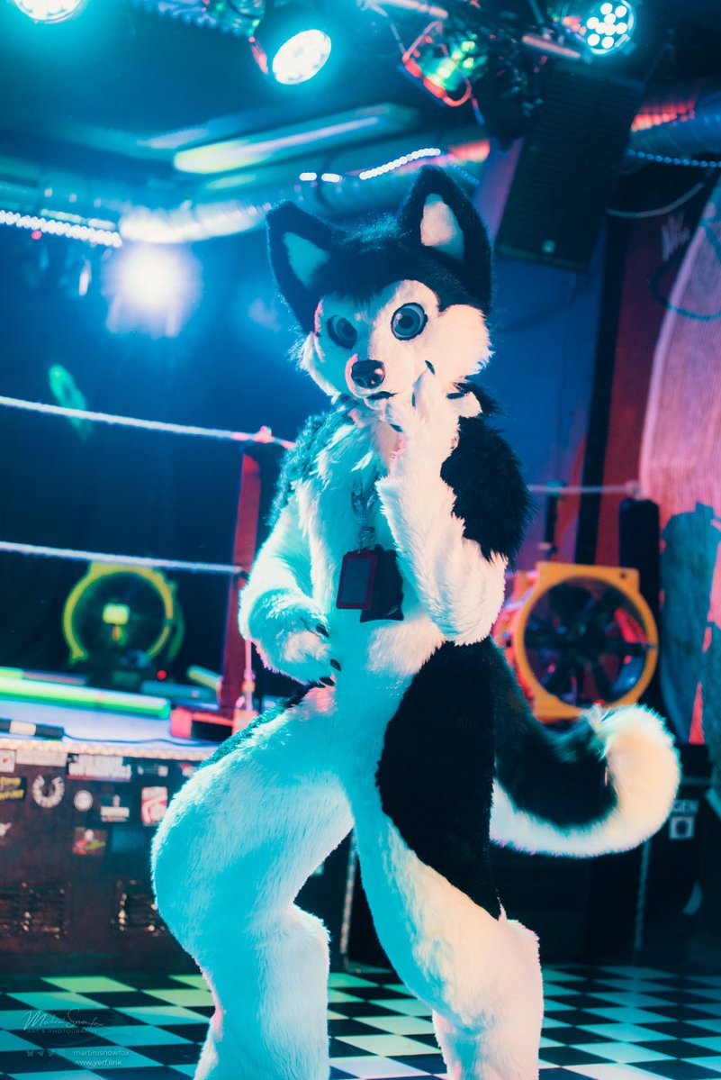 Furtality tweet media