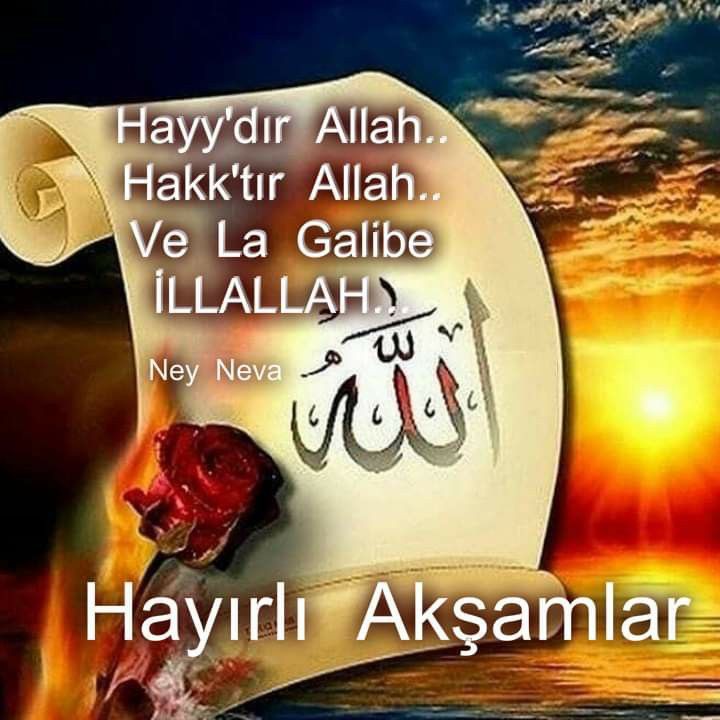 @aysedogan1955 @emineip52294769 @06hasanturker @nefesol2023 @yeesim32 @hanzade_hatun @YASI_N__ @0_rxkS @ByErgulYuksel @mhpfccc @feridenokay34 @__asihatun__1 @berktas_selma @kn_nur_o @EySevgilim34 @cananbastug2023 @destansi834 @Sinanolsun @cCc__Toprak_cCc @DogadaNefesAl @ErgunKilinccc66 @___ASKI_D_ERun_ @AdnanGndoan23 @YANLIZ1ADAM23 @uziTURGttinta @AhmetUZ04093226 @uenlue4 @Mltm238 @Ceylan___Fatma @gundogdu_fahri @Ahmet13779283 @em_ir3734 @1yhy11 @NEmmioglu @1_N_1_S @ENearas @07asenaa @ankrtv @glrkzn_ @MUHAMMEDHASRETF @muhammed7325 @nasuhmesutakdag @krannal38526333 @ozguryilmaz0303 @sevda_trhan @hassa61 Allah Razı olsun 🇹🇷🇵🇸 Ayşe Abla 🇹🇷 @aysedogan1955 👈