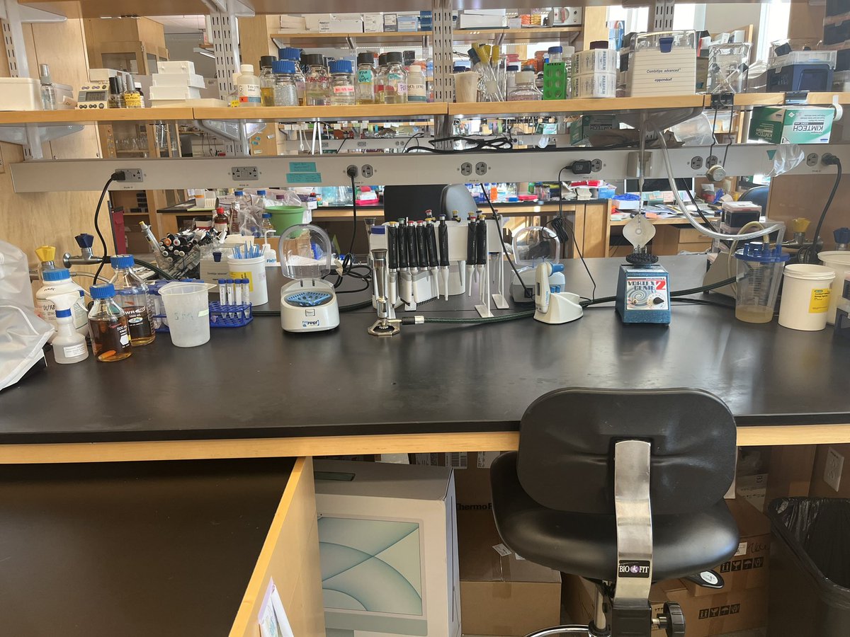 I may never give you peace but I can give you a clean bench after one of the largest experiments I’ve done in years. 

#PhDlife #AcademicChatter