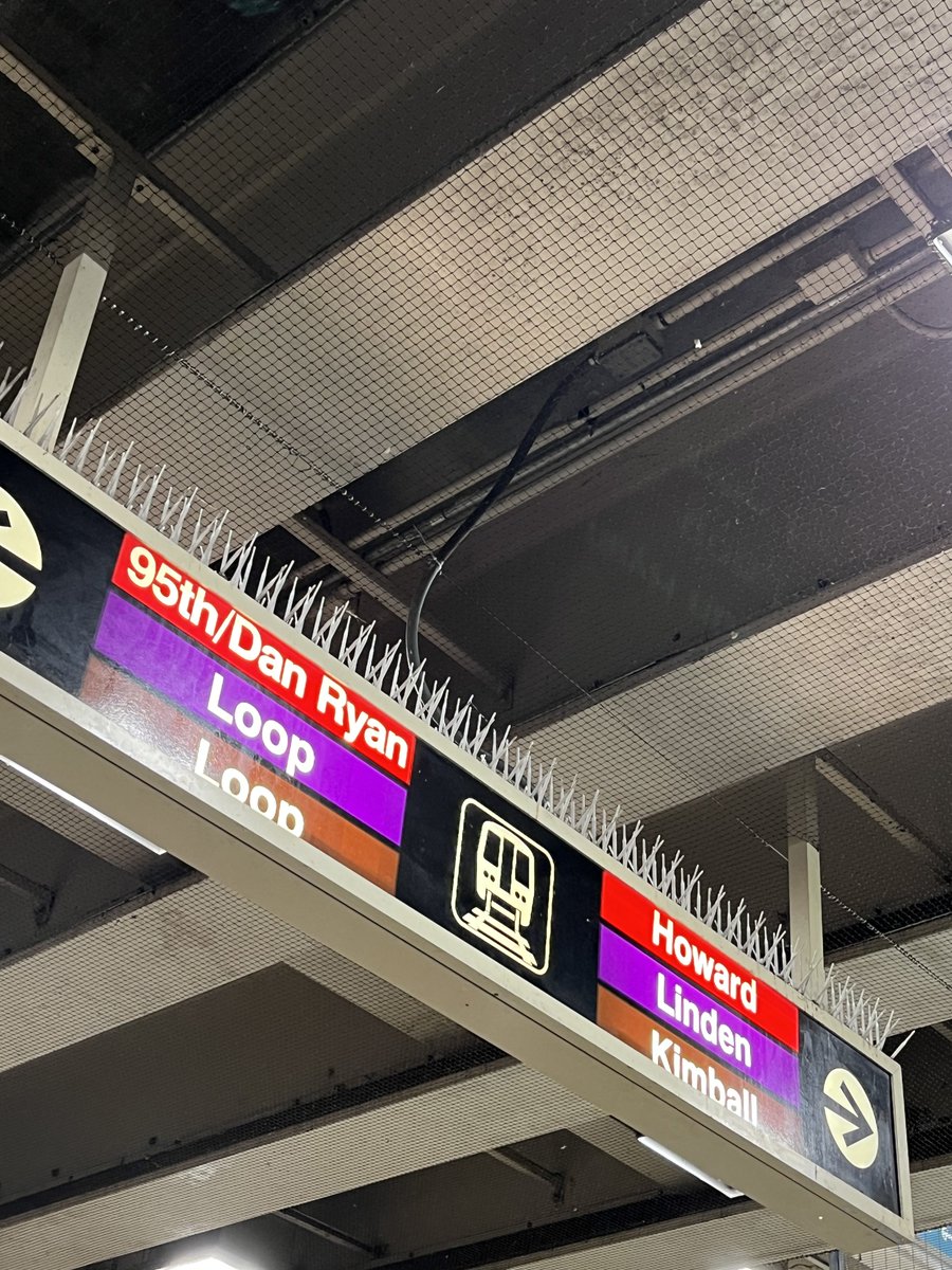 Thank you to the @cta for doing a deep clean of our Belmont station, and installing additional features to prevent pigeons from landing in the station.