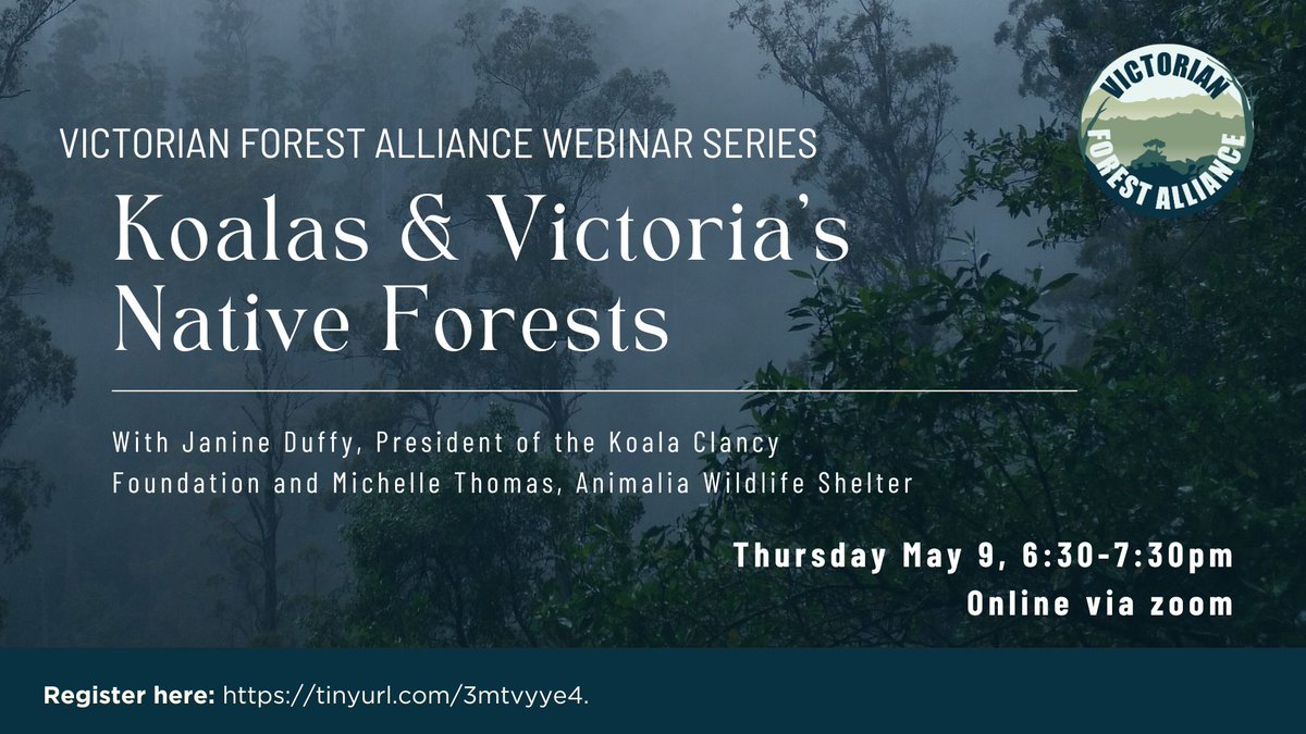 Join @alliance_forest for a webinar series on the emerging threats to Victoria's native forests: unscientific prescribed burning, inadequate environmental protection laws & logged areas left as wastelands. 6:30-7:30pm Thursday May 9 | FREE Register here: tinyurl.com/3mtvyye4