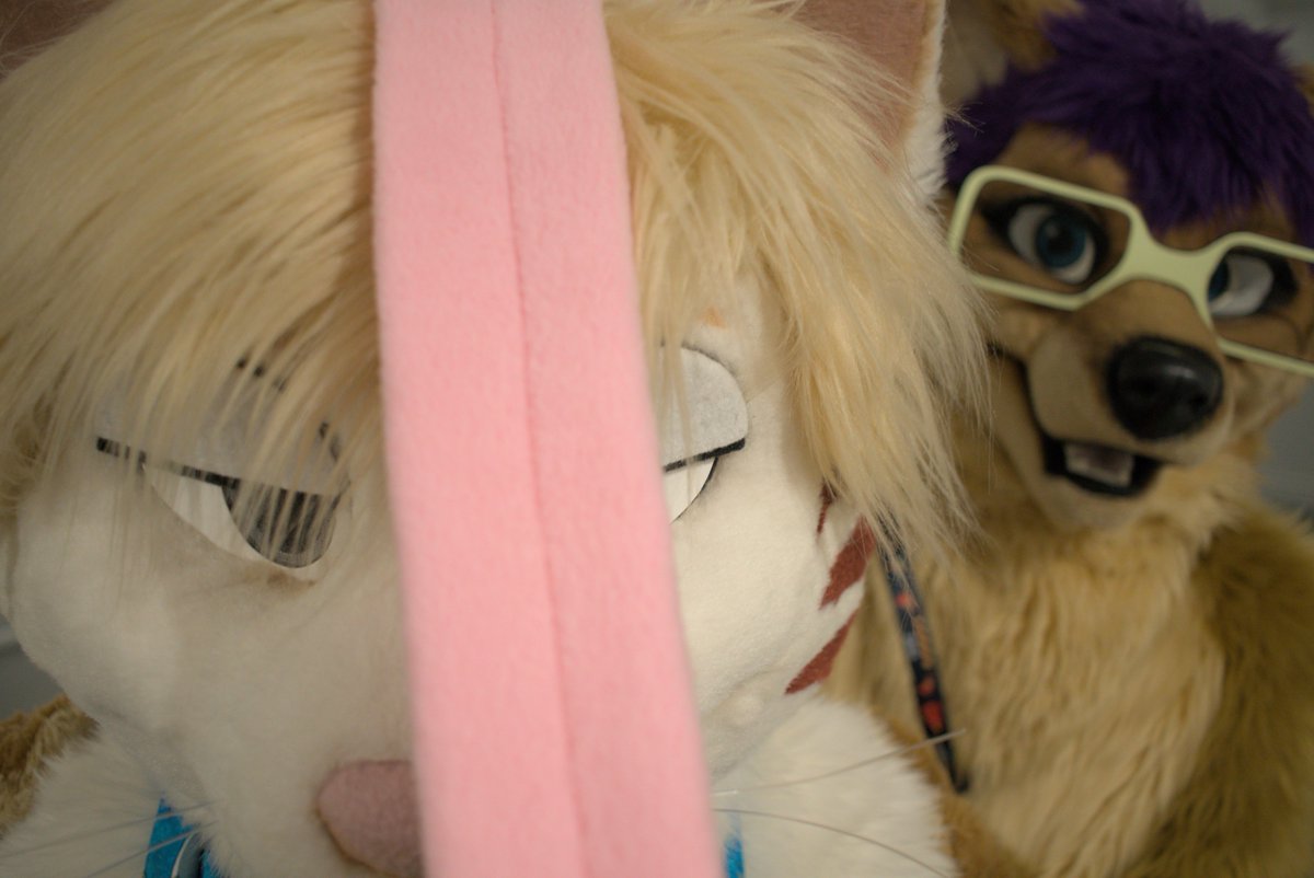 zaika_rabbit's tweet photo. Licking @KodiKodiak with @KalTheDingo watching https://t.co/GbdFY9nCou
