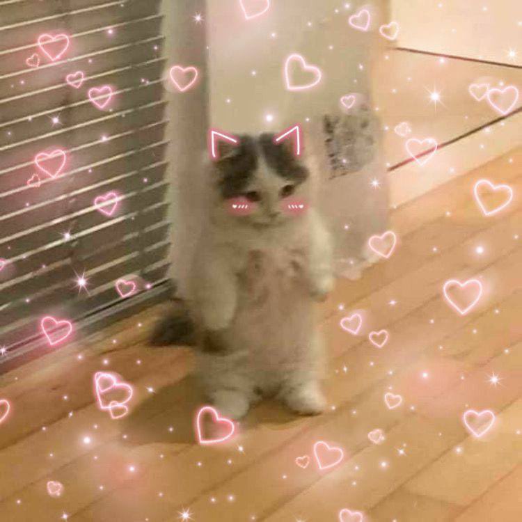 Over 1k followers!!!
Doing a 1 sol giveaway for 2 followers🥰
Drop your sol addy and RT 

Want to shoutout my appreciation to people that have helped me grow in this space as well 🫶🏼

<a href="/Palgrani2/">Palgrani</a> #1 has changed my life 
Taught me quality over quantity and giving back whenever you