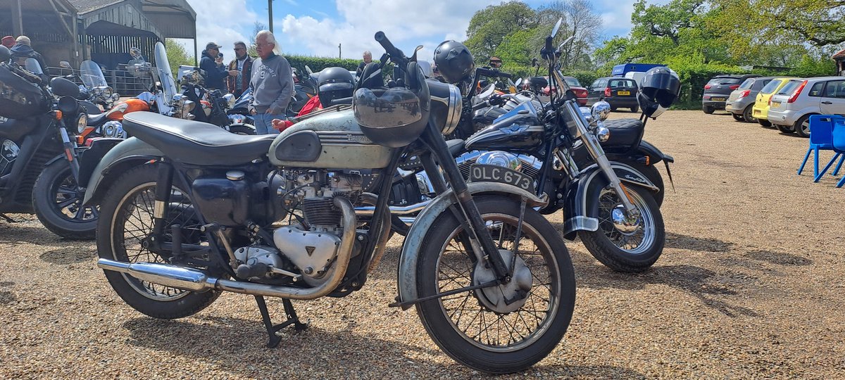 SPOTTED! This Speed Twin at Rooster's Bike Barn on Saturday, with patina 😍 Thank you @drstephencarver for sharing! #classicbikeshows #motorcycle #motorbike #motorcyclelife #classicmotorcycle #classicbike #motorcycleclub #classicmotorcycles #motorbikelife #classicbikes