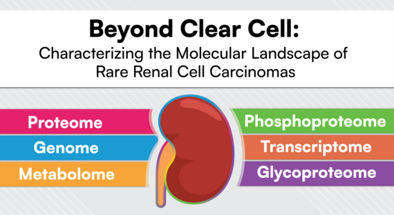 The @theNCI Clinical Proteomic Tumor Analysis Consortium (#CPTAC) just finished a multi-omic analysis of non-ccRCC cases, alongside ccRCC findings, revealing shared and subtype-specific features. Read more about this rare cancer at proteomics.cancer.gov/news_and_annou…