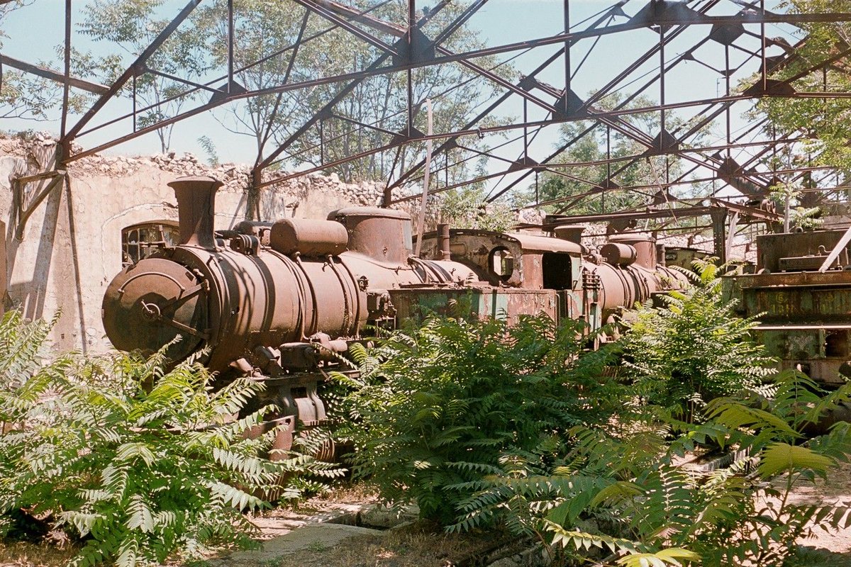Forgotten steam trains in old workshop 📷 Zenit E 🔎 Mir-1b 37mm Film: #washix #35mm Lebanon; June 2023 #filmisnotdead #believeinfilm #filmphotography