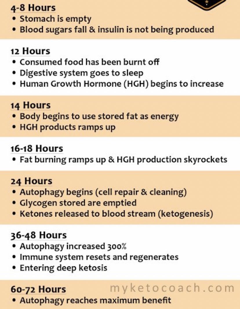 Fasting for 3 days.

Maximum autophagy, deep ketosis, immune system reset and profound experience over-all.