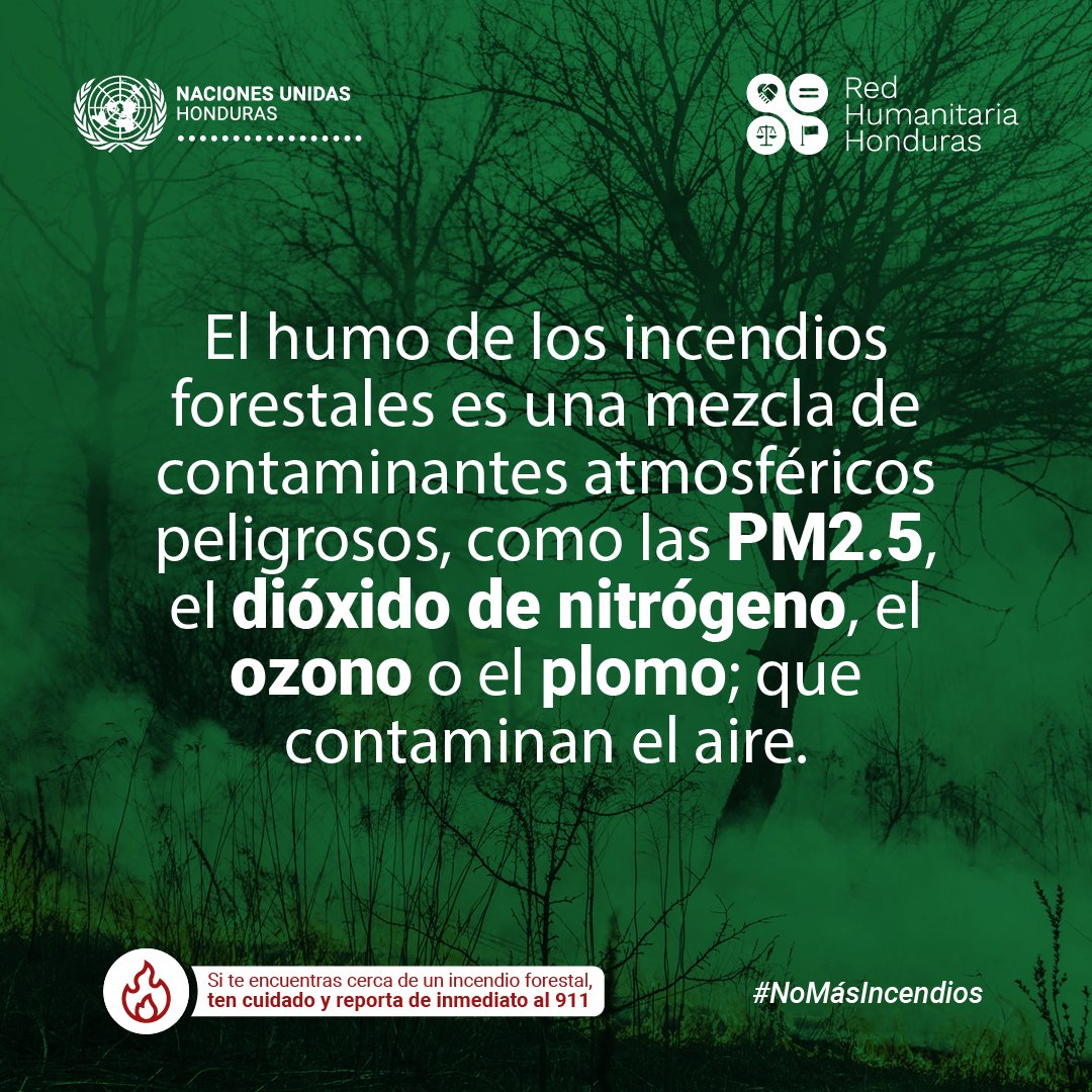 El aumento en la frecuencia e intensidad de las olas de calor sumado al mayor número de incendios forestales empeorará la calidad del aire, dañando la salud humana y los ecosistemas. Reporta cualquier incendio o quema que veas a las autoridades. #NoMásIncendios