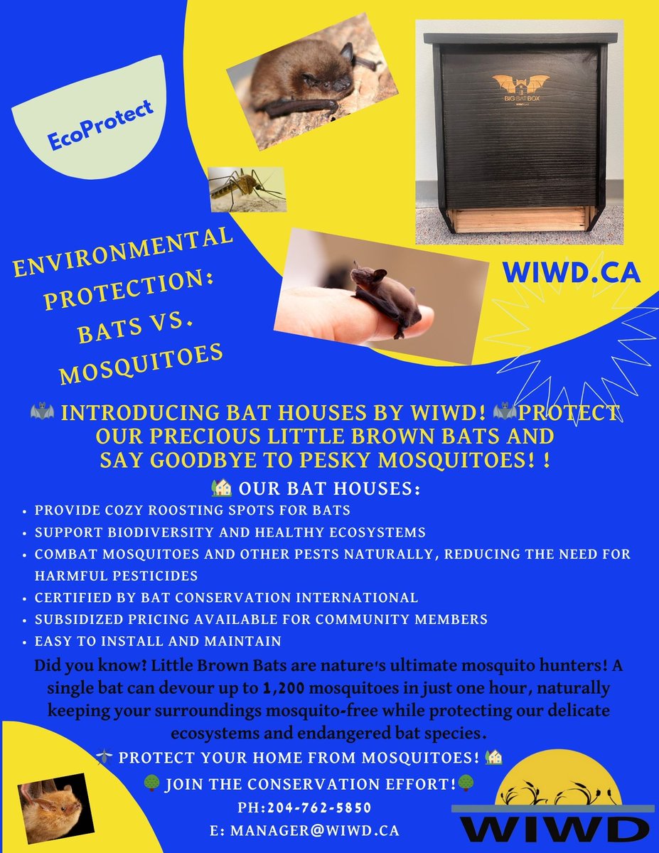 🦇🌟 Protect your home, help endangered bats! 🌿 For just $20, get a bat house and fight mosquitoes naturally! It's a win-win for your home and nature! 🏠🦟 #BatHouse #ProtectWildlife #Conservation