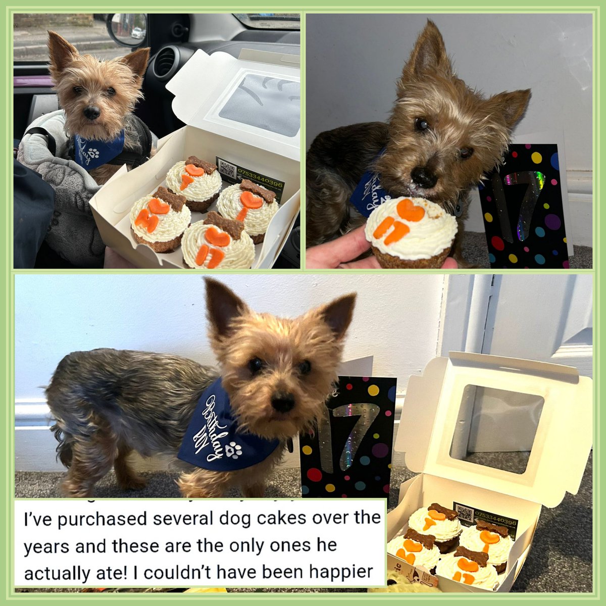 Not all dog cakes are the same...I haven't seen any like mine and so far not heard of any dogs who didn't enjoy them - they know the real fresh ingredients as opposed to flavouring. 💚🐶💚 #birthdayboy #SmallStreamersConnect