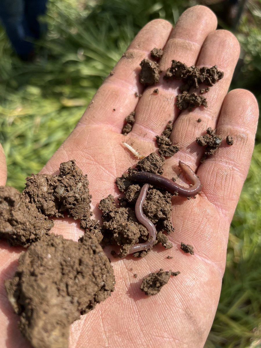 Pete Olds tweet media