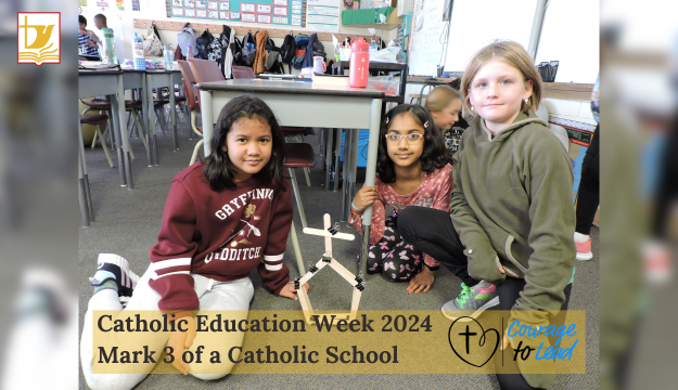 HolySpiritRCSD's tweet photo. Today, May 8, 2024, marks the halfway point of #CatholicEducationWeek as we focus on the importance of the 3rd Mark of a Catholic School, Faith Infused Curriculum, and the theme for Mark 3, Learning.
https://t.co/BzoxNeOXvF
#IBelieveInCatholicEd #BlueforCatholicEd #hs4 https://t.co/elbvVCftP1