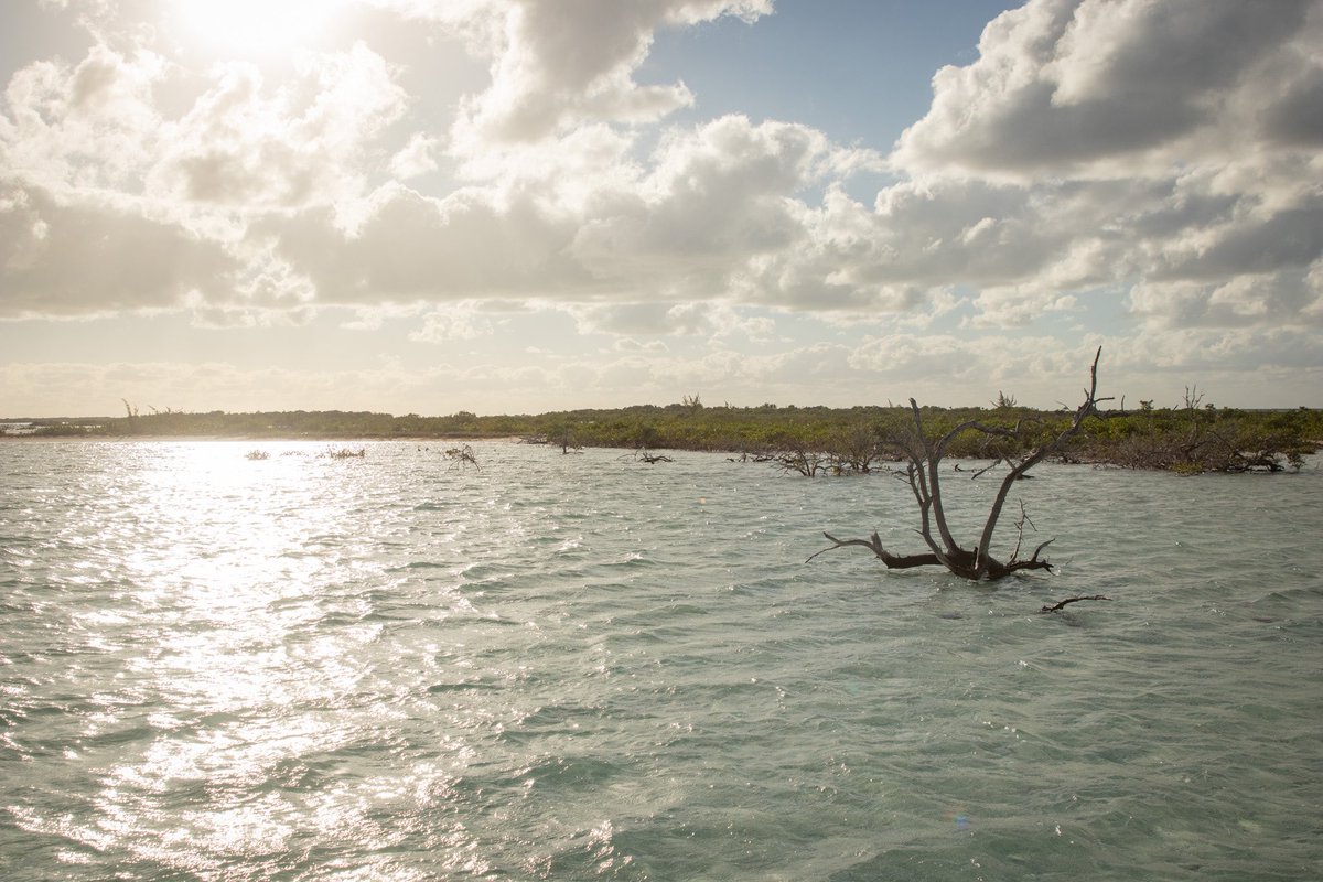 RevGlobalImages's tweet image. Gonna make it a goal of mine to see every inch of this beautiful world that we inhabit 🌍 ☀️