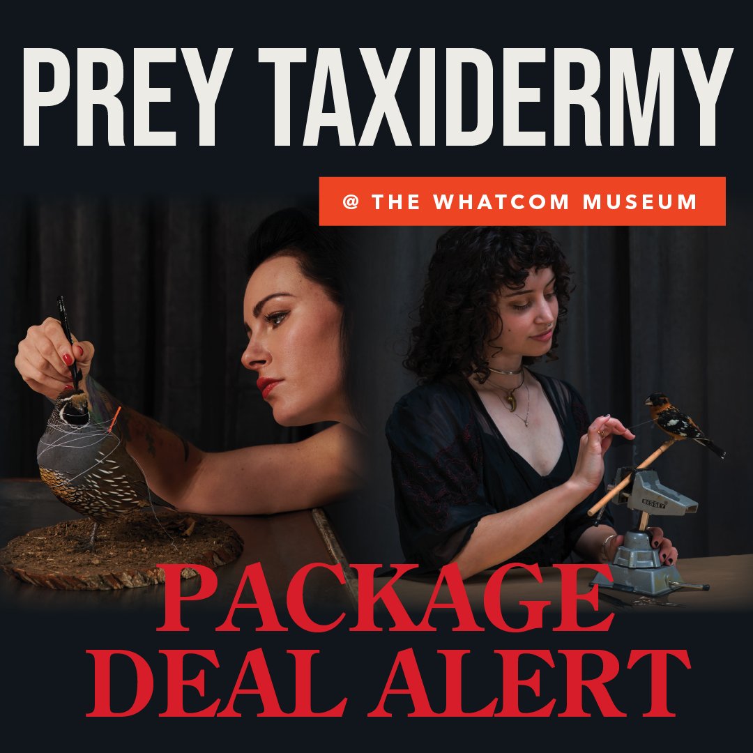 We're excited to offer a special 'Package Deal' for the Prey Taxidermy's events at the Whatcom Museum! 🎟️ Package: $135/members, $155/non-members eventbrite.com/cc/prey-taxide… #WhatcomMuseum #PreyTaxidermy