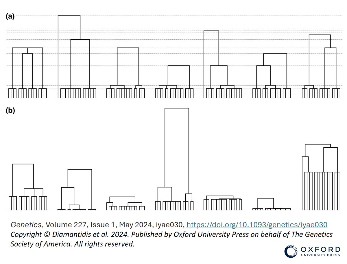 To average over the pedegree or not, that is the question: Researchers from <a href="/IUBloomington/">IU Bloomington</a>, <a href="/Harvard/">Harvard University</a> and IQCB member Matthias Birkner pinpoint the difference for high-fecundity population models in featured article doi.org/10.1093/geneti… in Genetics <a href="/GeneticsGSA/">Genetics Society of America</a>