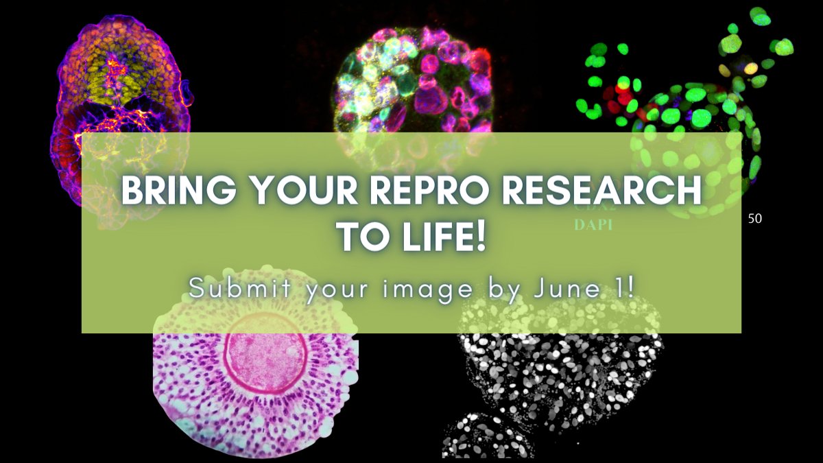 📣 Did you hear the news? The SSR #ReproBioArt contest is officially underway! Check out some of the images that have already been submitted and add yours to the mix! ➡️➡️ brnw.ch/21wJyJL