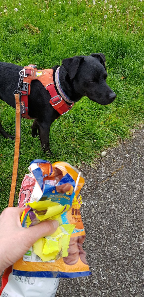 Morning run & a few pieces of #litter collected along the way. #lovewhereyoulive #BoultonMoor @LitterReporting @pawsonplastic