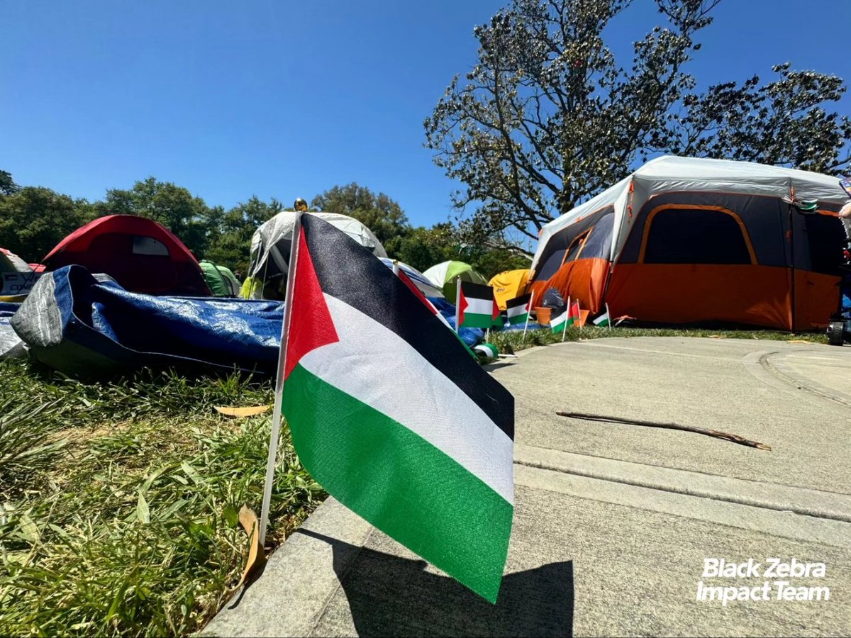 Black Zebra Productions tweet media