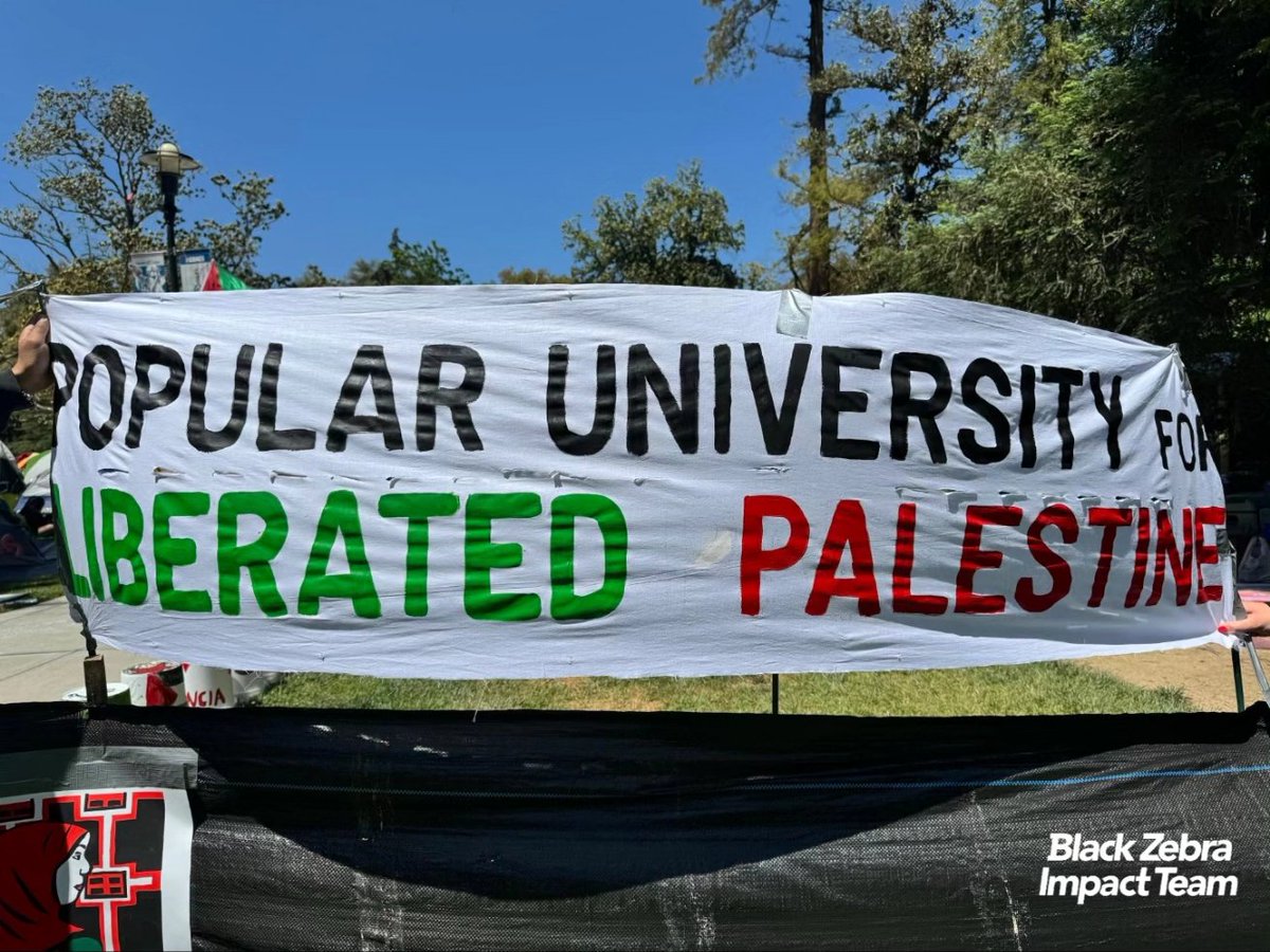 Black Zebra Productions tweet media