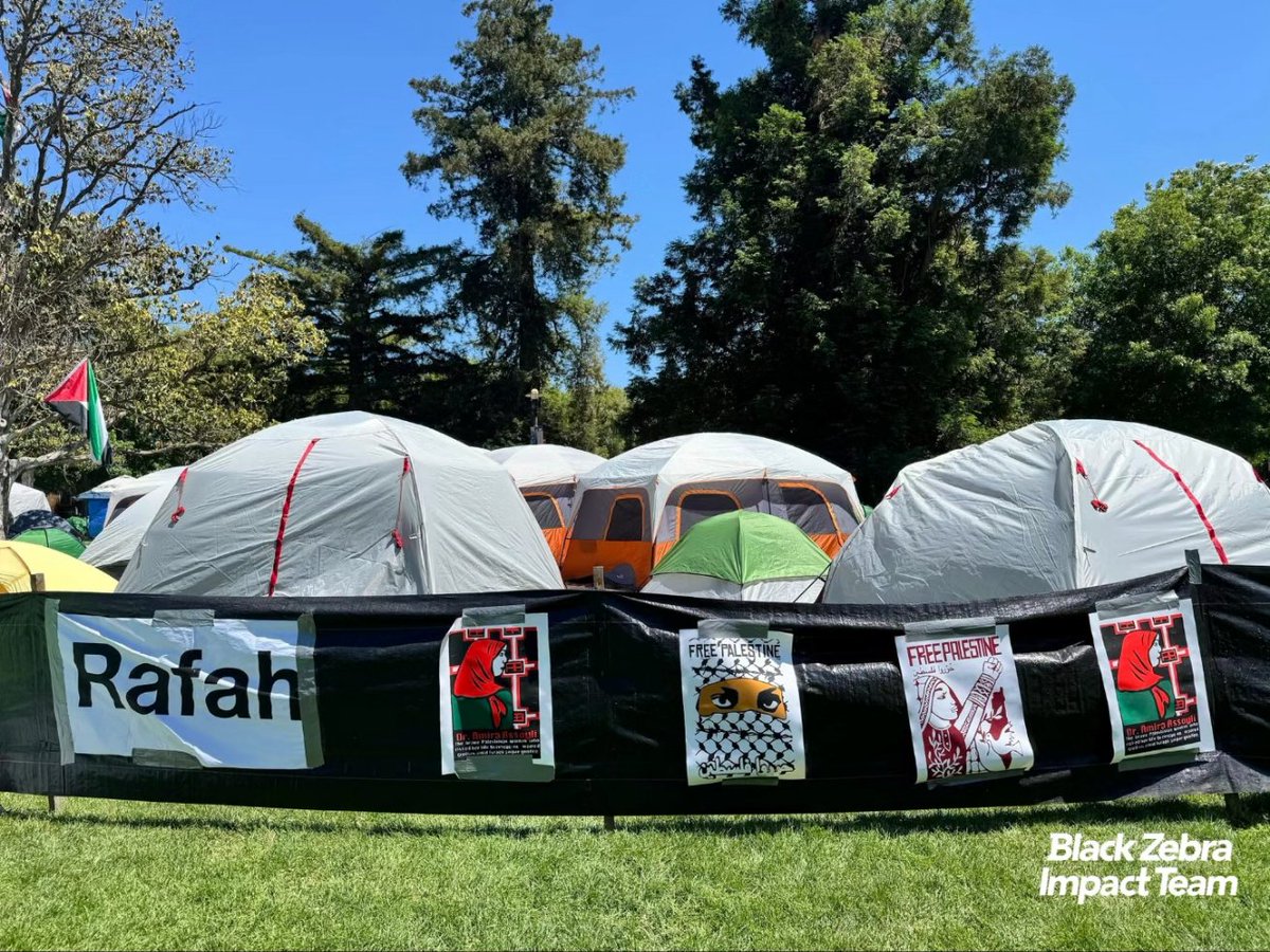 Black Zebra Productions tweet media