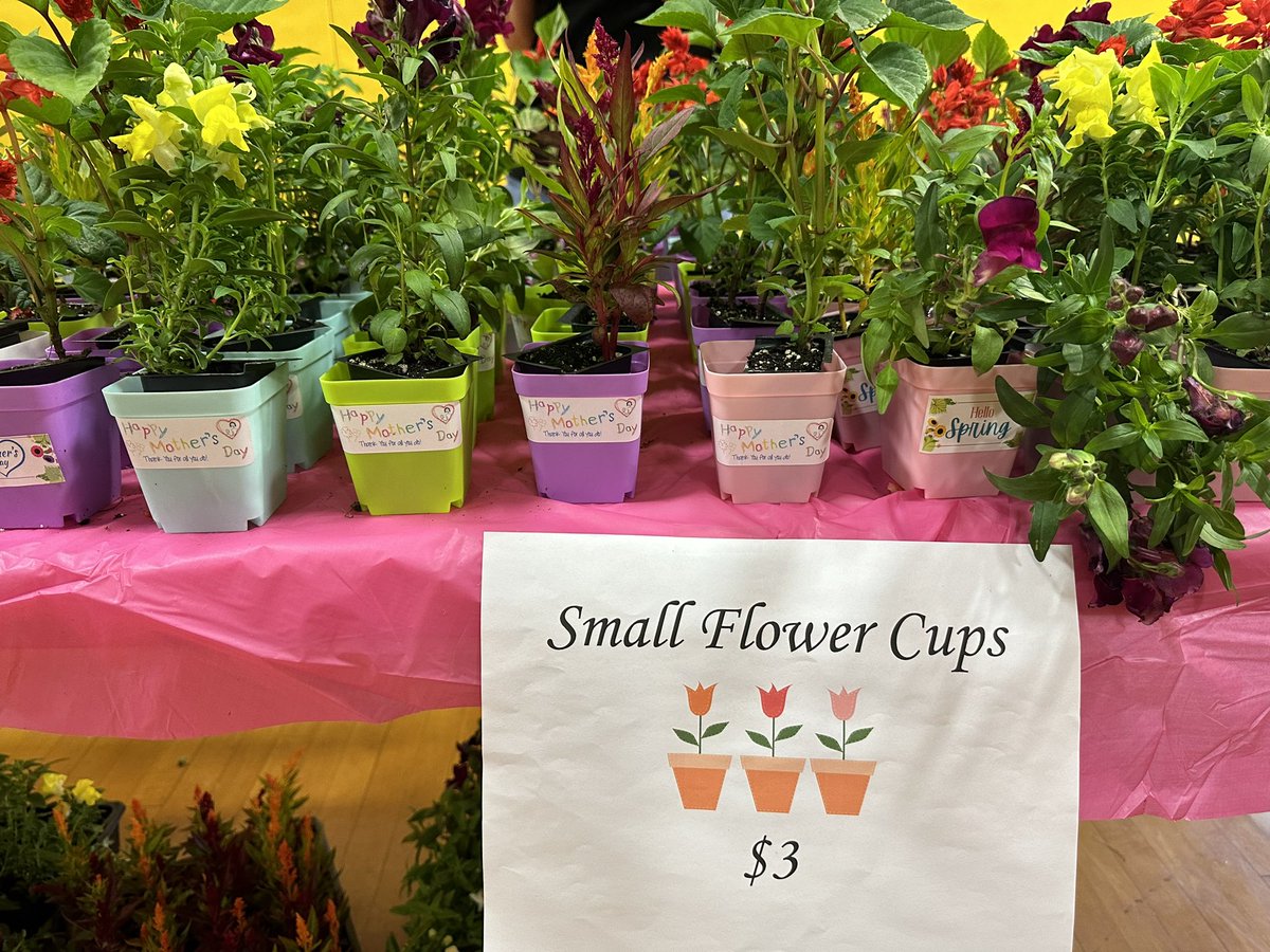 SHSP (@theshsp) on Twitter photo The Spring Flower sale starts tomorrow! The sale will run Wednesday, Thursday and Friday. Flowers run from $3-$22. *hanging baskets cannot go home on the bus! Arrange for after school pick is needed. <a href="/Jen1Curry/">Jennifer Curry</a> <a href="/kristymc24/">π¦ππΎπππ ππΈπΉπΆπππΆππ</a> <a href="/MOSandshore/">Mount Olive Sandshore School</a> The Spring Flower sale starts tomorrow! The sale will run Wednesday, Thursday and Friday. Flowers run from $3-$22. *hanging baskets cannot go home on the bus! Arrange for after school pick is needed. <a href="/Jen1Curry/">Jennifer Curry</a> <a href="/kristymc24/">π¦ππΎπππ ππΈπΉπΆπππΆππ</a> <a href="/MOSandshore/">Mount Olive Sandshore School</a>