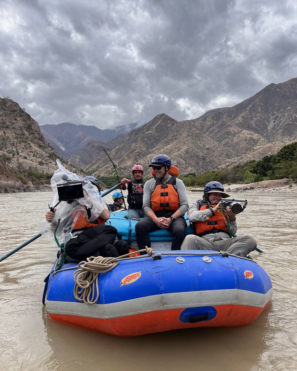 Albert Yu-Min Lin tweet media