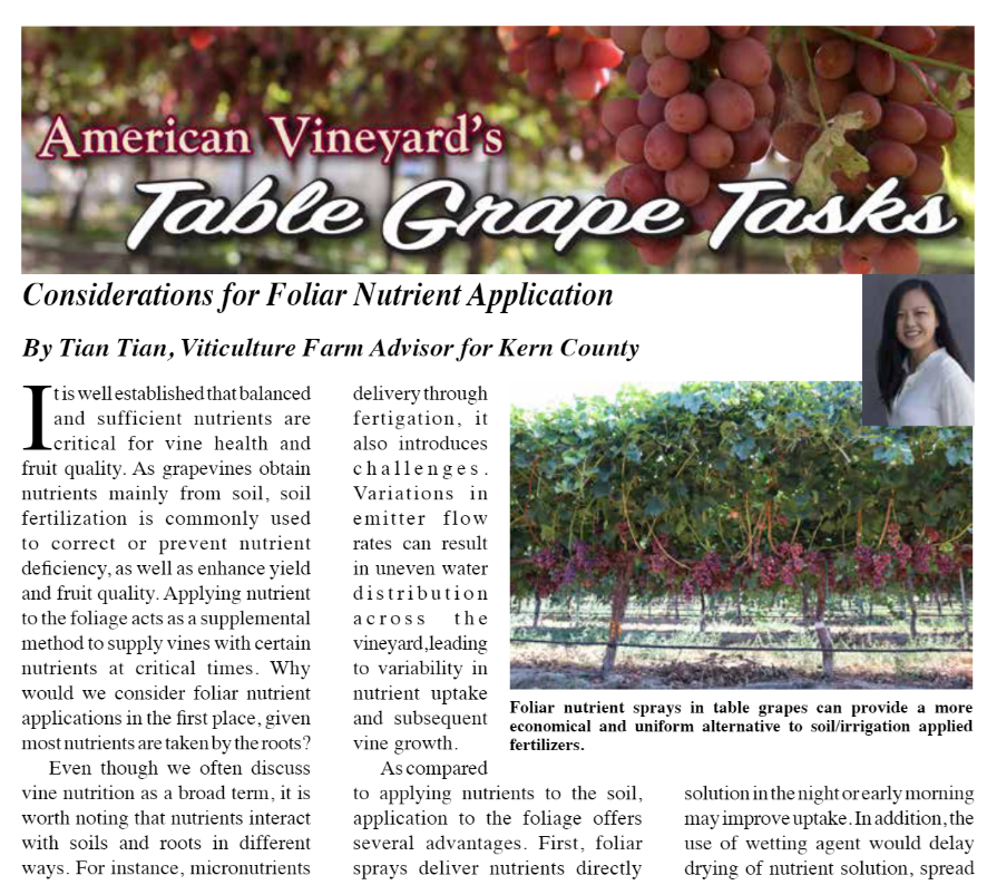 GrapeResearch's tweet photo. For #tablegrapes, applying vine nutrients to foliage vs. soil has advantages: more uniform application at a lower rate; direct absorption by leaves, berries; tank-mixable with pesticides. But there are potential pitfalls. (See p. 12.) #graperesearch https://t.co/NWf5duXNtL https://t.co/NCXfU1qCCb
