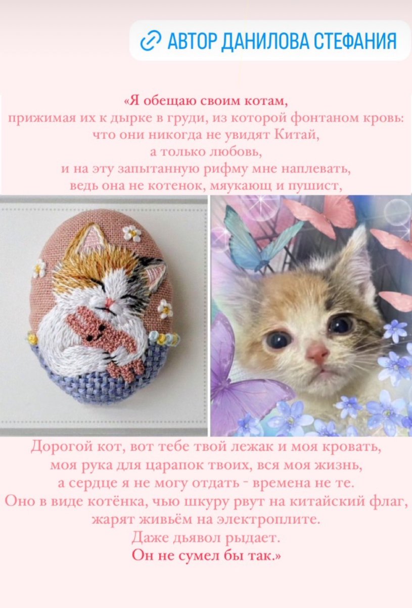 A poem from a Russian animal activist to the memory of Fireball.

“I promise to my cats … that they shall never see China, but only love …” #StopChinaCatTorture