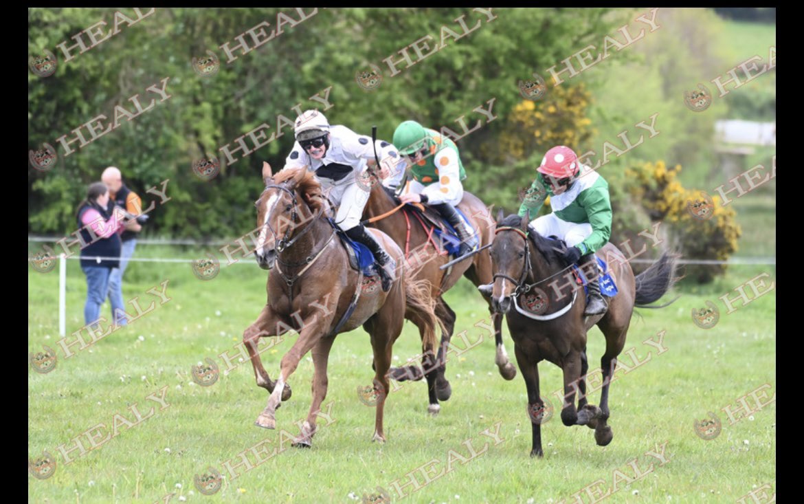 We had a brilliant week @GearoidOLoughli 
🥉 in the @Goffs1866 Defender bumper with ACT OF INNOCENCE. A running on 4th place for SOLSBURY HILL in the Punchestown bumper Saturday evening. To then top it all off  a 4 year old maiden winner 🥇 CAHIERS DEN in Ballindenisk Sunday