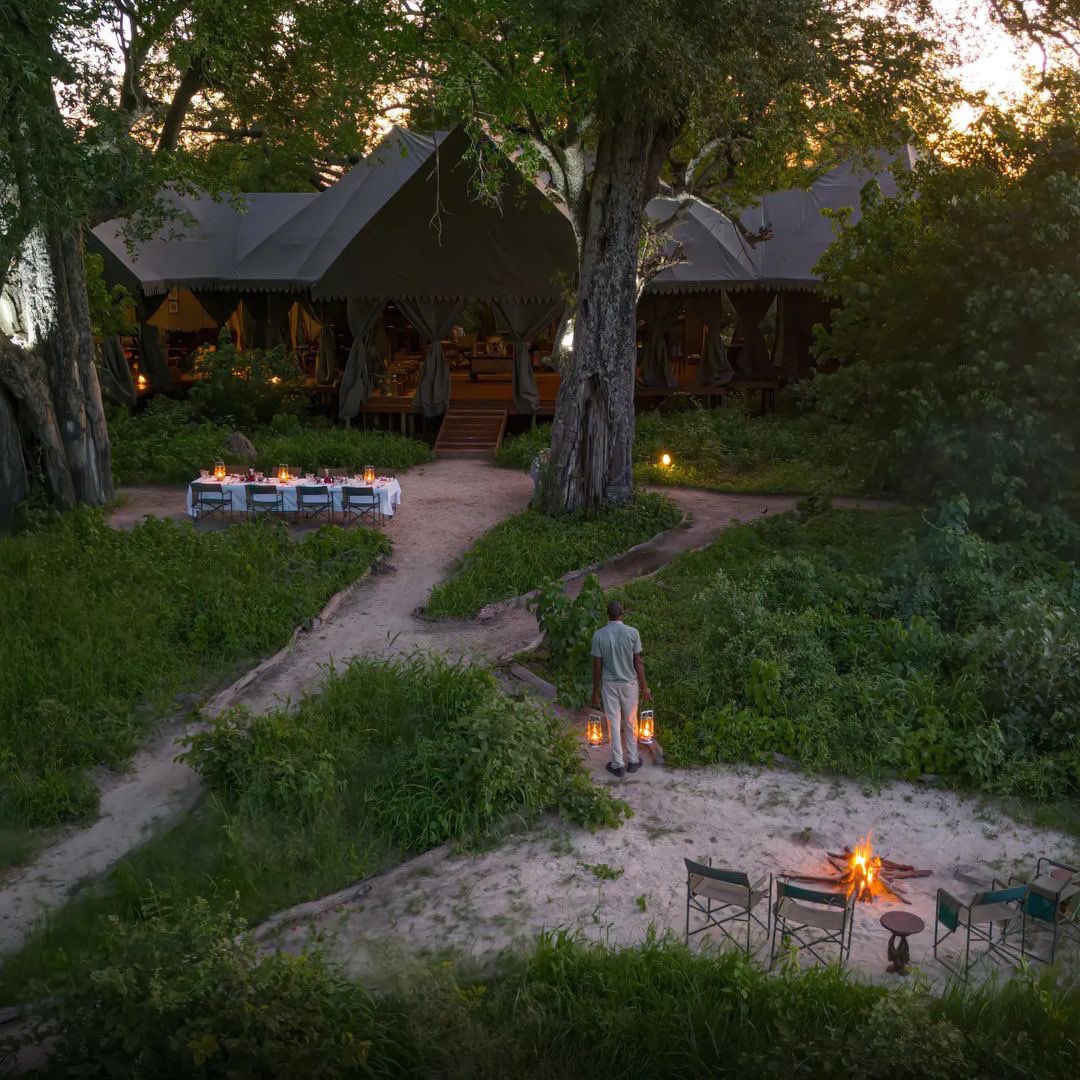 “While guests safari, the evening magic starts to unfold at Duke’s East.” @naturalselectiontravel Photo by Jack Swynnerton #everythingextraordinary #dmafrica #safarisofcharacter #naturalselectionsafaris #dukeseast #unchartedafrica #okavangodeltabotswana #botswanasafari