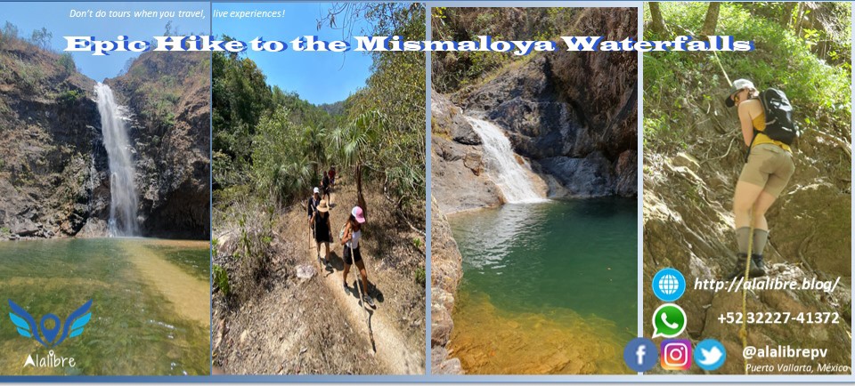 🦋 Join our Epic Hike to the Mismaloya Waterfalls. 🦋 Únete a nuestro senderismo Épico a las Cascadas de #Mismaloya. alalibre.blog/mismaloya_wate… #PuertoVallarta #México
