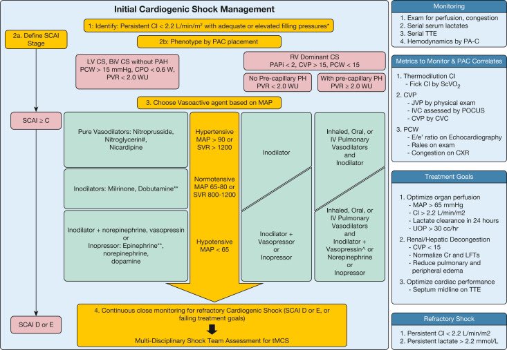 Excited to share this review article on cardiogenic shock by @david_furfaro @FaAlkhunaizi @nikolhaustweets Sam Brusca @OslerAlumni @CritCareReviews @CardioNerds