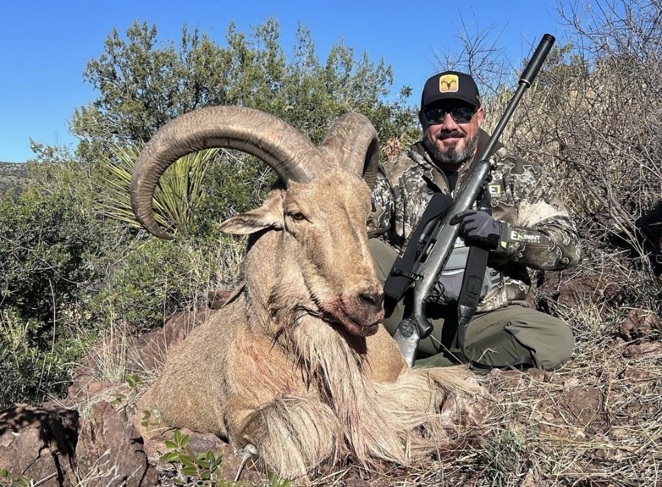 Check out this fantastic 31' Aoudad Brian shot while in west Texas this spring. - No Limits Hunting #FindYourAdventure #hunting #outdoors #aoudad #Texas #aoudadhunting