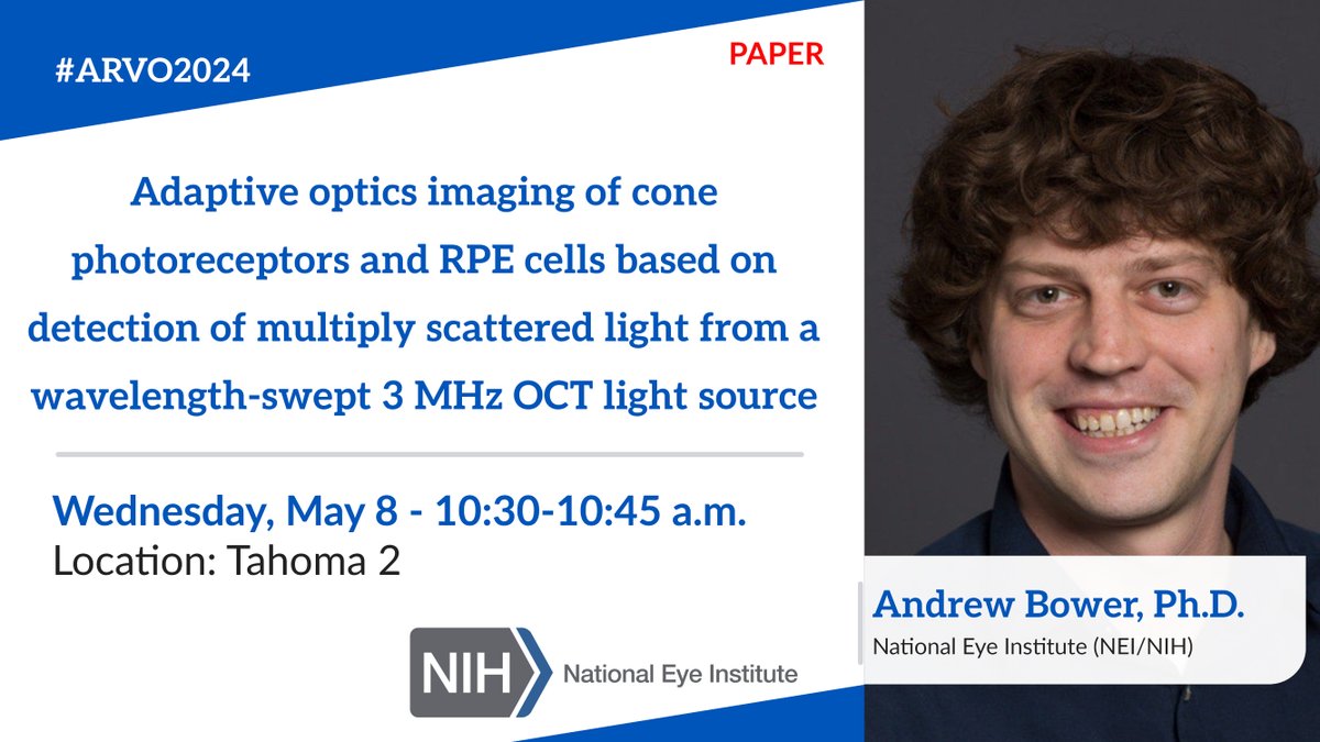 (1/4) It's time to put some #NEI paper and poster presentations in your schedule for tomorrow (Wednesday) at #ARVO2024. Check the full schedule: nei.nih.gov/arvo