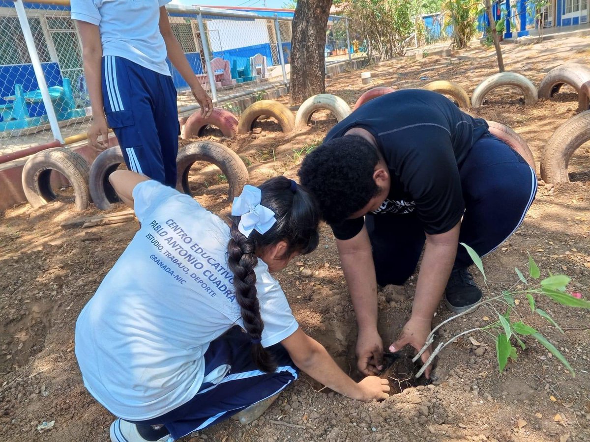 🔰 El Movimiento Ambientalista Guardabarranco 💚 realizó una jornada de reforestación con niños y niñas 🌱 del colegio Pablo Antonio Cuadra de Granada ✨ #Nicaragua 🇳🇮